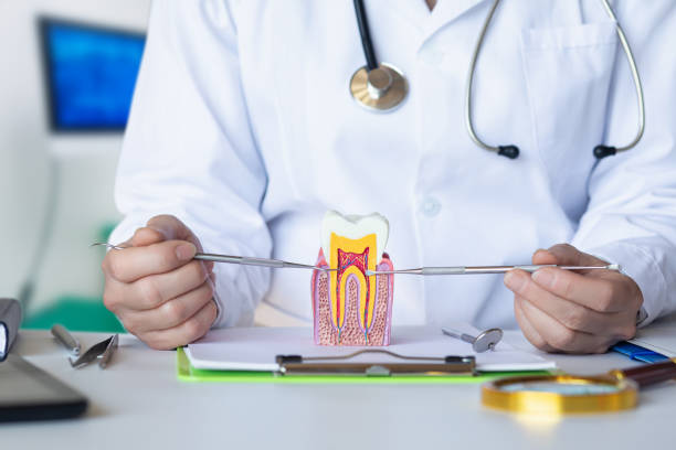 Best Dentist for Tooth Abscess  in Gold Key Lake, PA